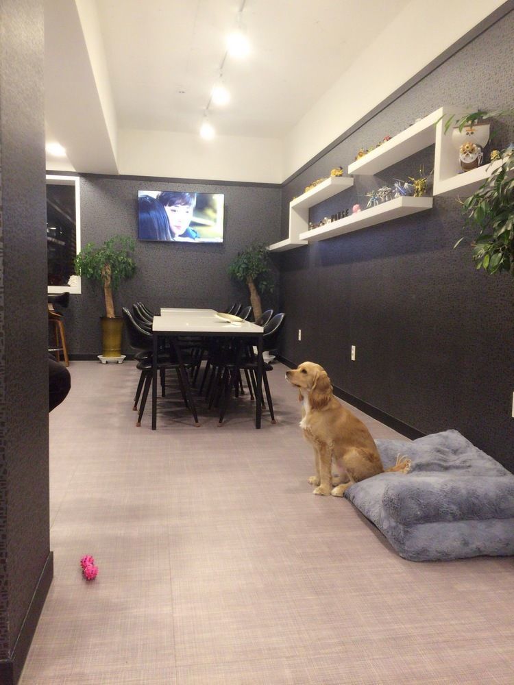 Mozzihostel Busan Station Zewnętrze zdjęcie
